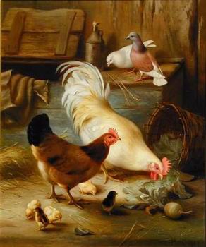 Poultry 091